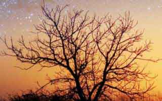 哈尔滨本地生活体验，优惠好物、家居、美食、旅游citywalk、装修经验分享