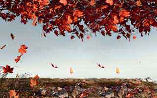 哈尔滨本地生活体验，优惠好物、家居、美食、旅游citywalk、装修经验分享