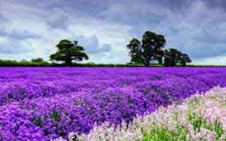 哈尔滨本地生活体验，优惠好物、家居、美食、旅游citywalk、装修经验分享