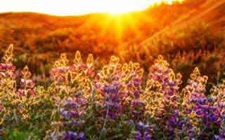 哈尔滨本地生活体验，优惠好物、家居、美食、旅游citywalk、装修经验分享